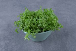 cilantro