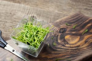 microgreens